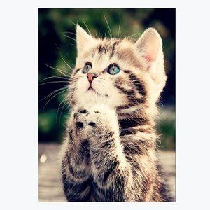 5D full DIY diamond drawing kit for cartoon animal